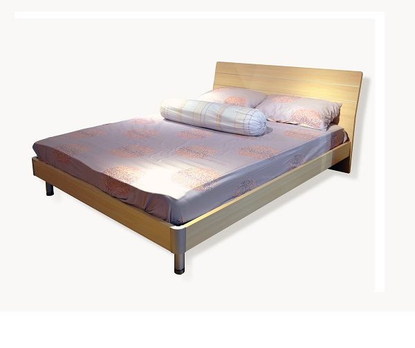 Bed (Queen)