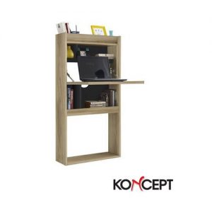 Working Desk